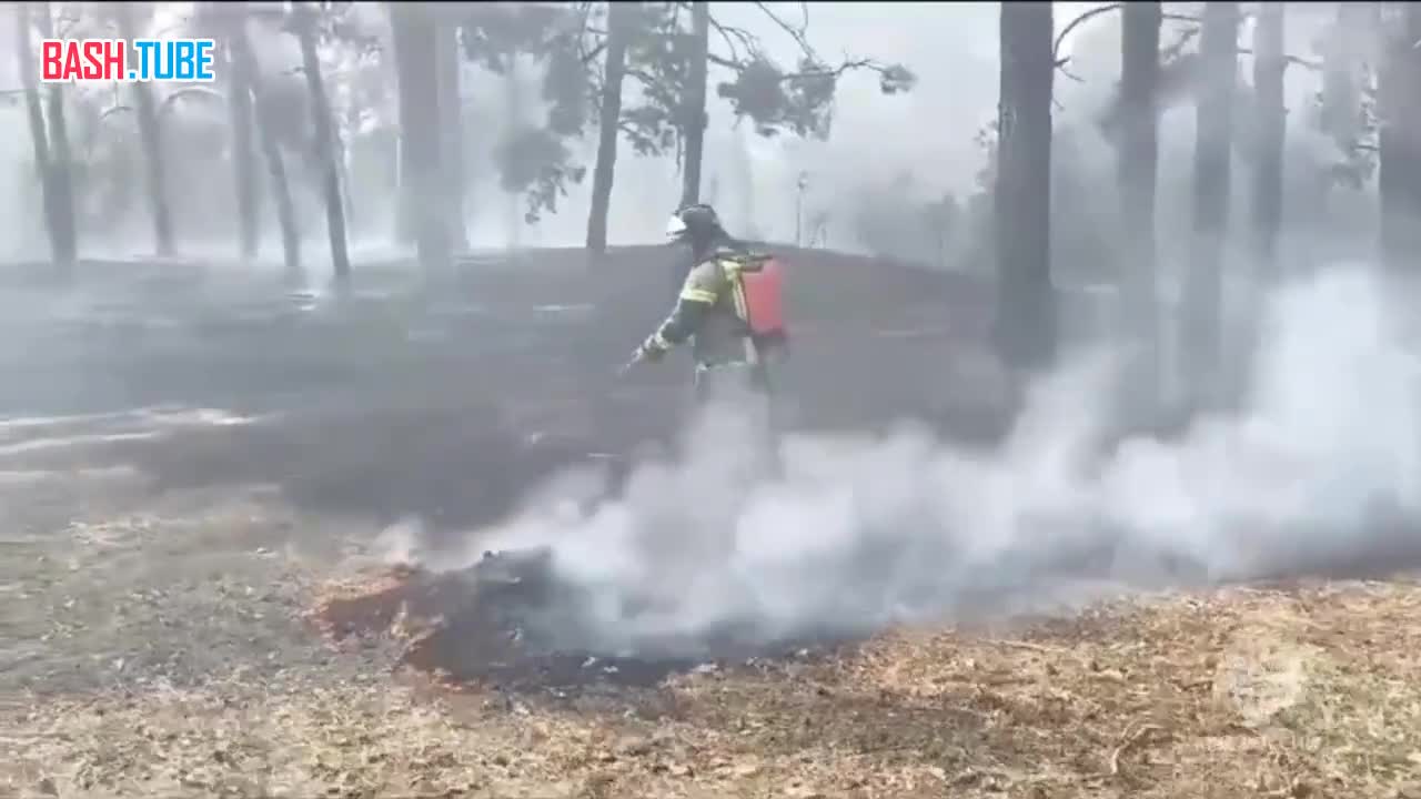 ⁣ Крупный лесной пожар в Ростовской области - полыхает 30 гектаров в Тарасовском районе
