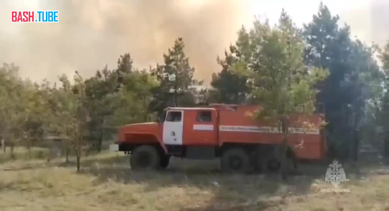 ⁣ В Тарасовском районе Ростовской области вспыхнул новый очаг лесного пожара