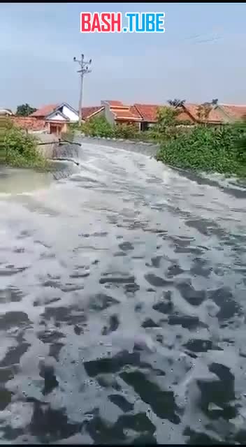 ⁣ Повышение уровня моря привело к разливу рек в округе Тирто, Центральная Ява, Индонезия