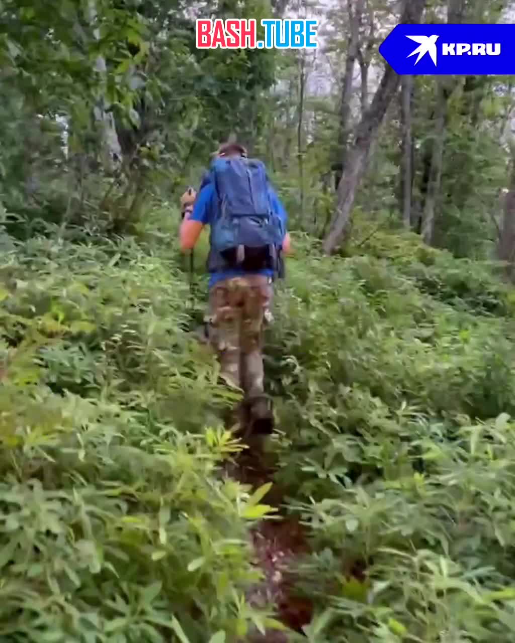 ⁣ 22-летнего парня по-прежнему ищут в горах Сочи