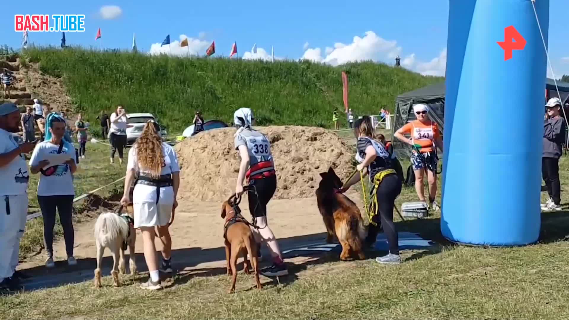 ⁣ Забеги в шесть ног: необычные соревнования по экстремальным гонкам с собаками «Хвостатый Драйв» прошли в Подмосковье