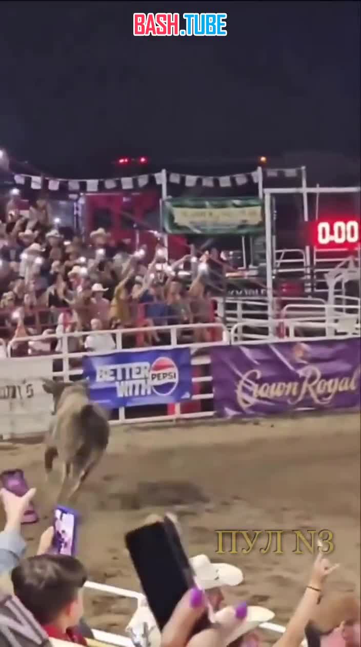 ⁣ В США бык решил играть по своим правилам и перепрыгнул ограждение арены