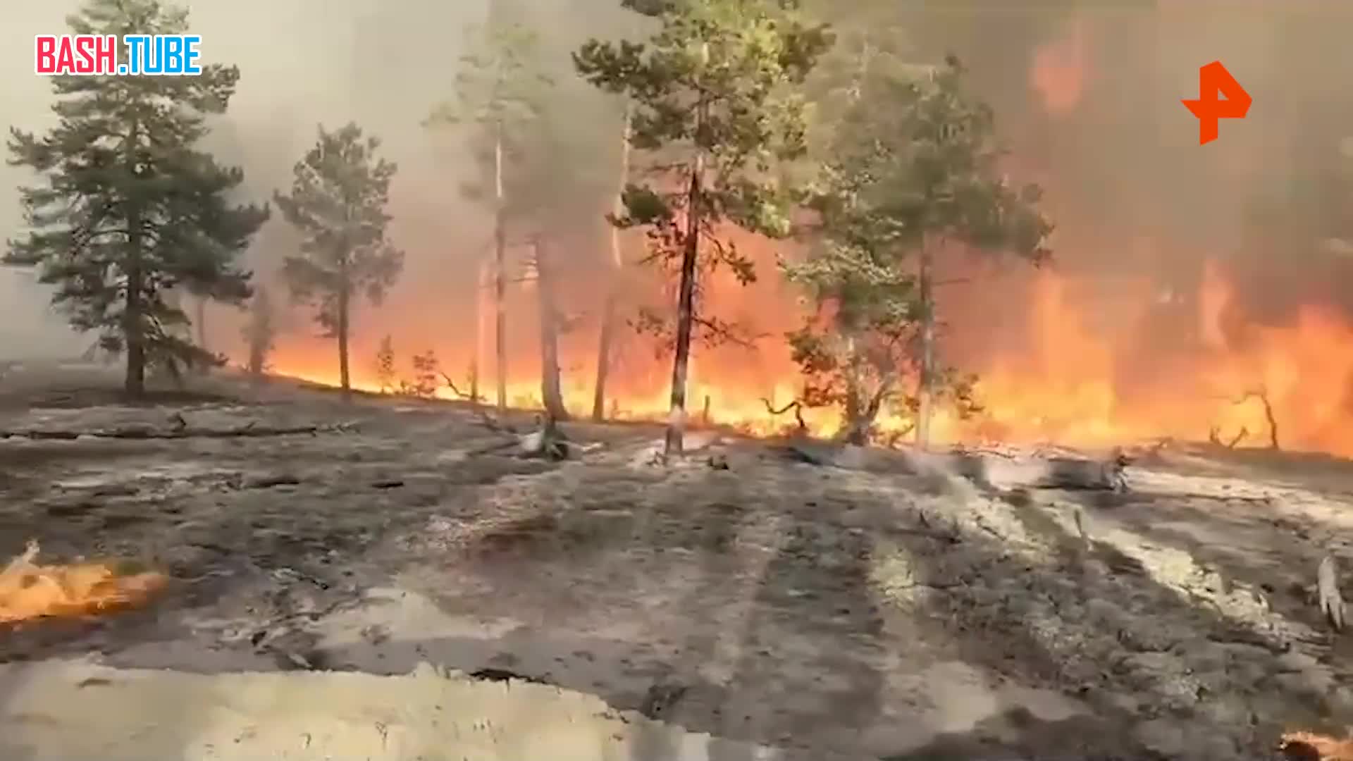 ⁣ Сильные пожары продолжают уничтожать лесные массивы Якутии
