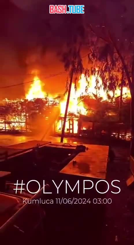 ⁣ В провинции Анталья дома Кадира на деревьях сожжены