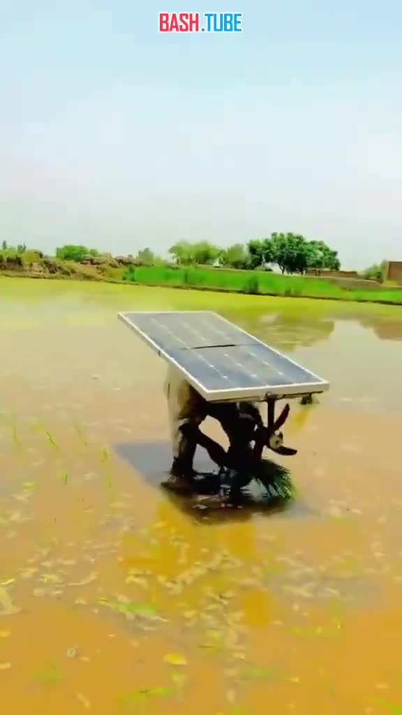 ⁣ В Индии заметили крестьян с солнечными панелями на спинах и вентиляторами для охлаждения