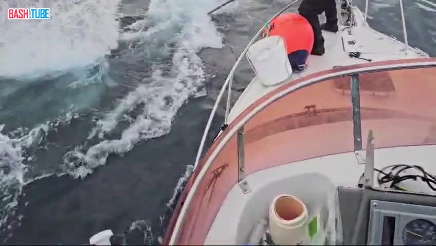 ⁣ Краснокнижного горбатого кита Станислава спасли
