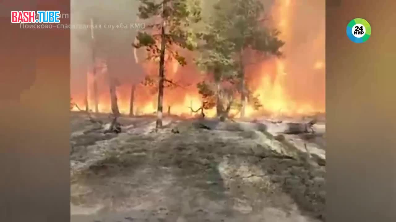 ⁣ В Якутии горят леса