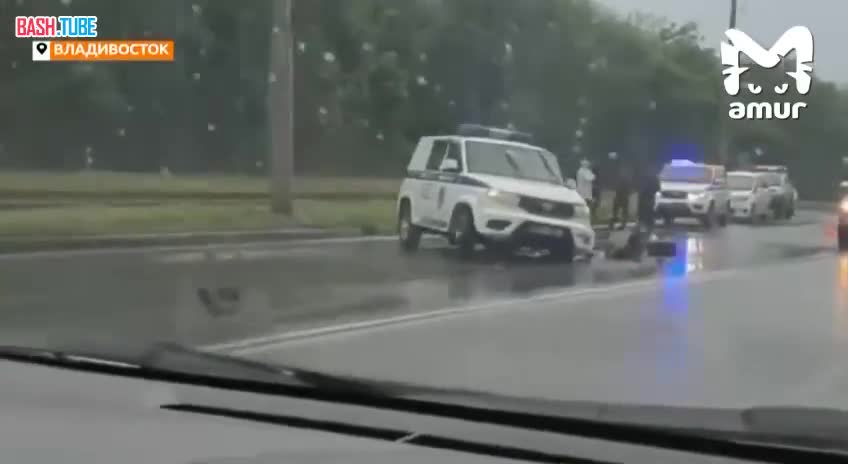 ⁣ Водитель легковушки влетел в полицейский автомобиль во Владивостоке и сбежал. Его ищут