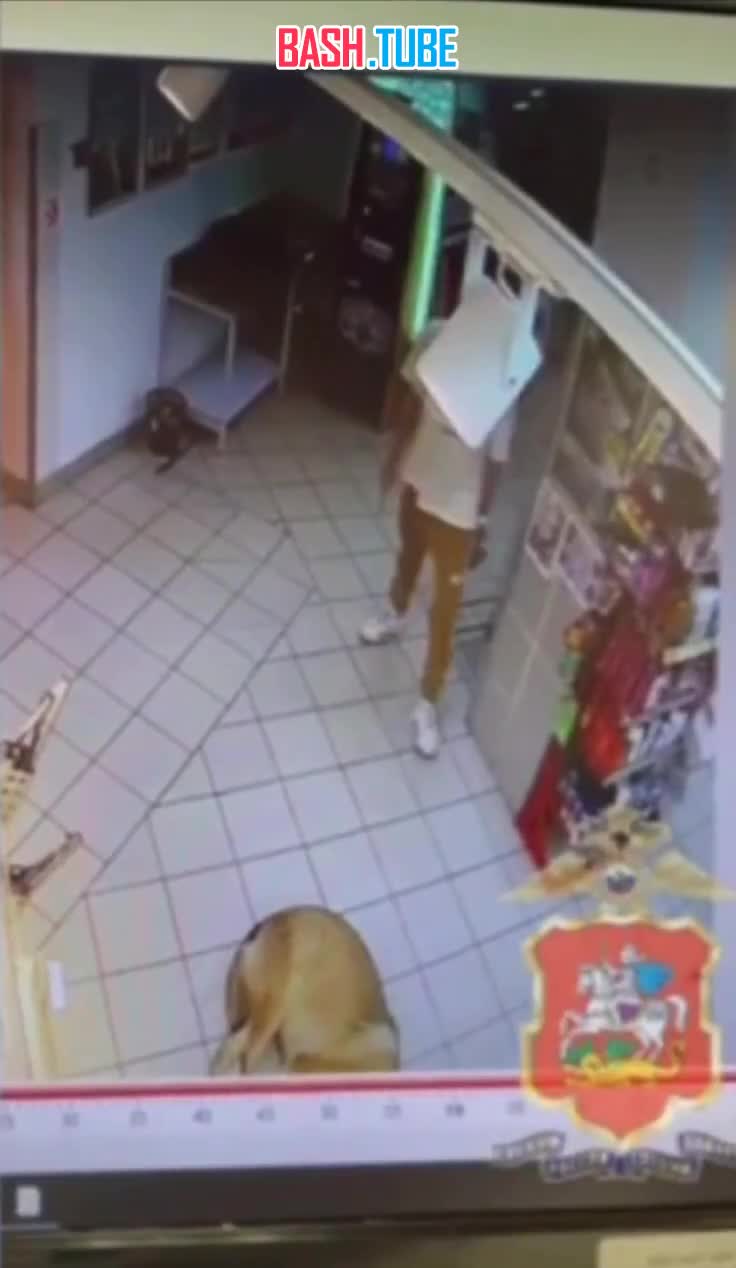 ⁣ Посетитель магазина в Химках якобы испугался лежащей на полу собаки и ударил ее ножом