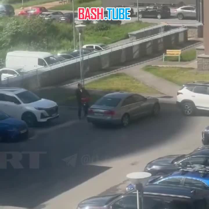 ⁣ В Петербурге водитель Audi напал на девятилетнего мальчика и пытался затащить его в машину