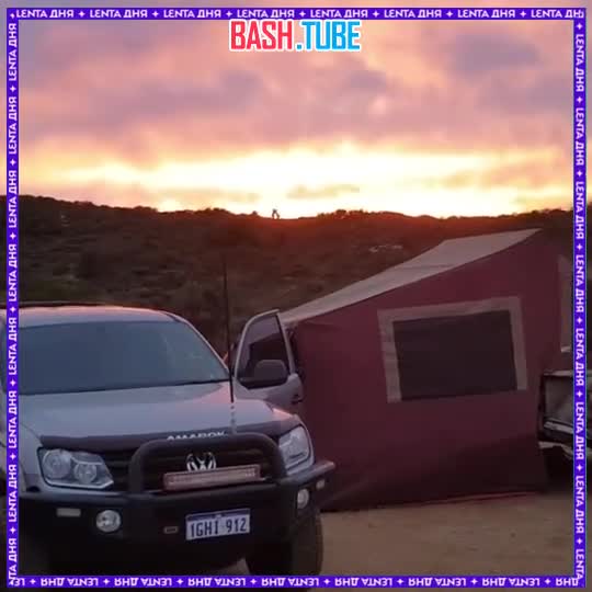 ⁣ Турист хотел снять красивый закат, но в кадр попала эпичная битва кенгуру на фоне золотого неба