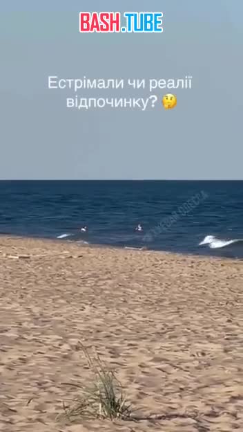⁣ В море около Одессы рядом с отдыхающими взорвалась мина