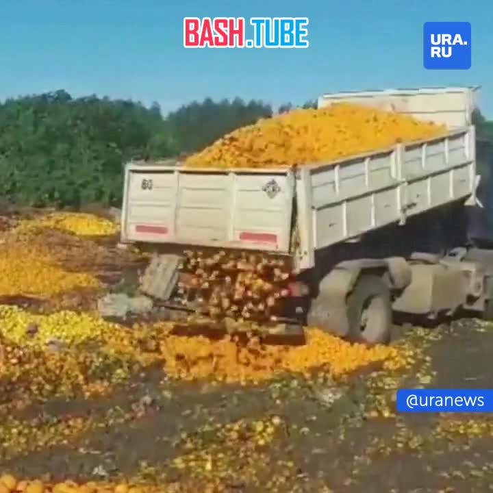 ⁣ В Аргентине фермеры выбрасывают тонны фруктов, потому что «их некому купить»
