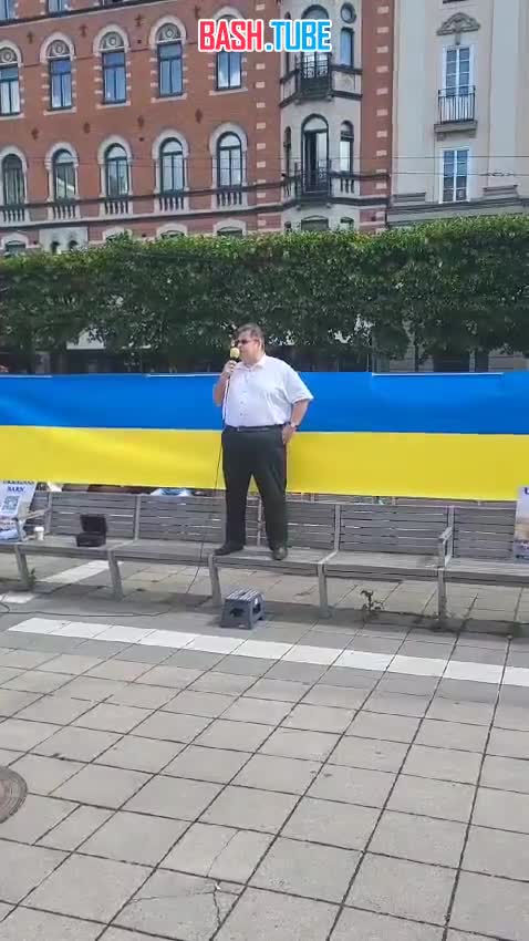 ⁣ Литовский посол в Швеции вышел митинговать в поддержку Украины и требует принять Украину в НАТО