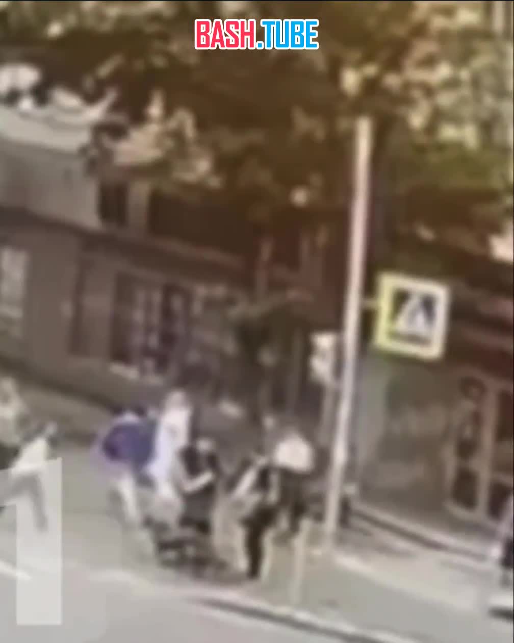  В Калининграде бойцовская собака разорвала лицо 12-летней девочке