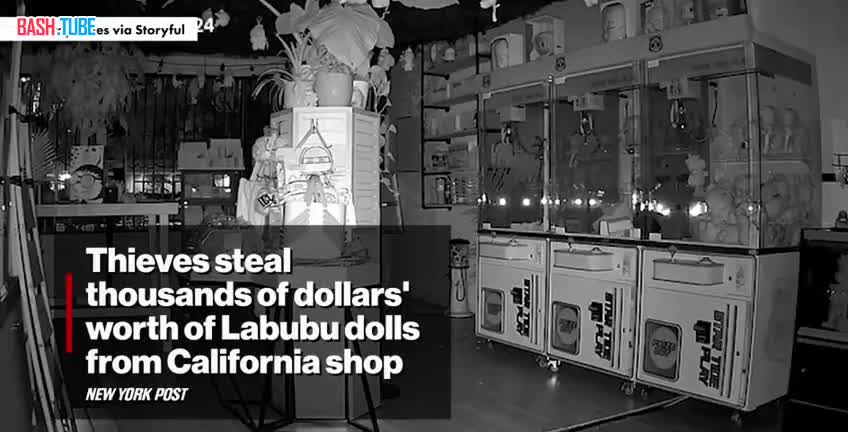  Лабубу на $30 тыс. украли в калифорнийском магазине One Stop Sales