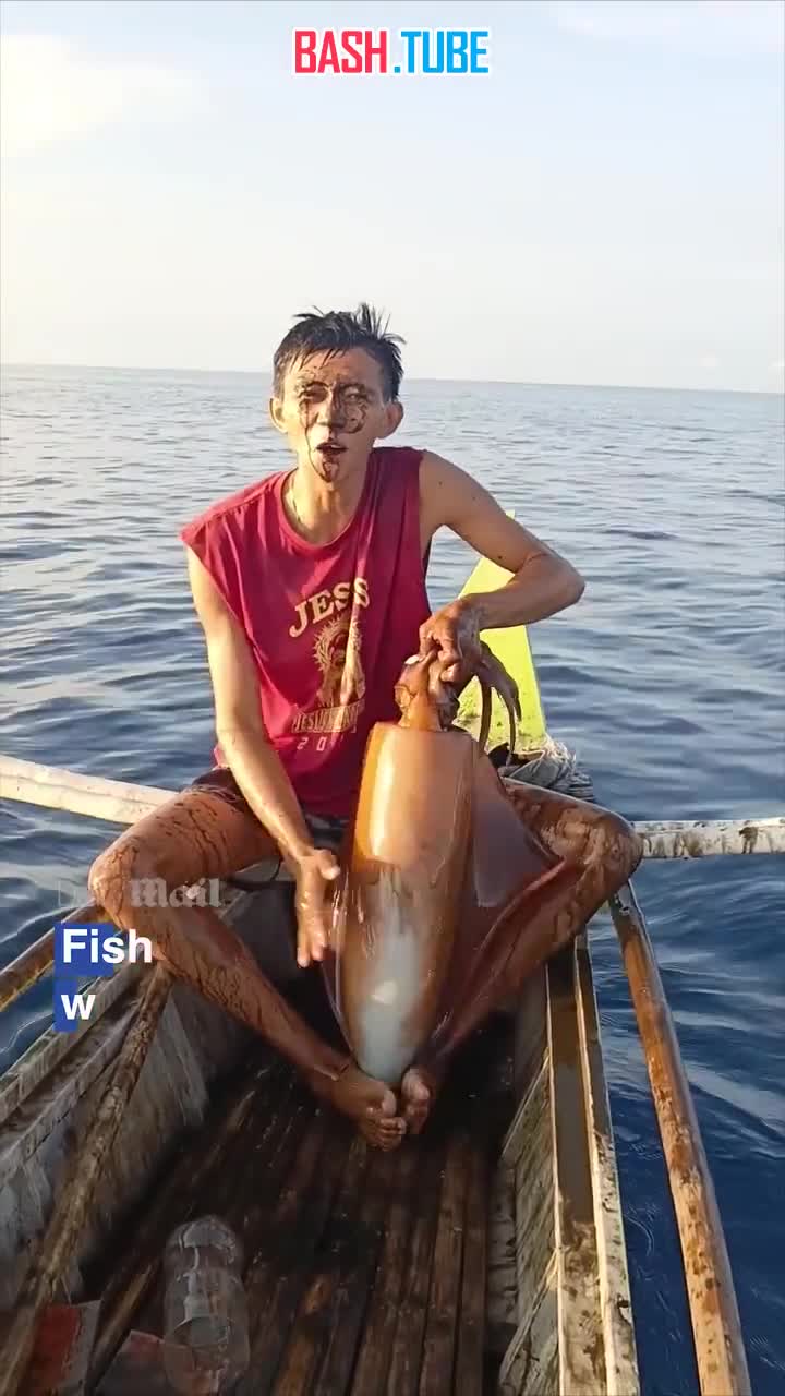  На Филиппинах рыбак радовался пойманным огромным кальмаром, но тот напоследок окатил его струёй чернил