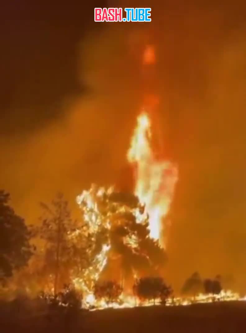  Спасение лошадей во время лесного пожара в Волиссосе