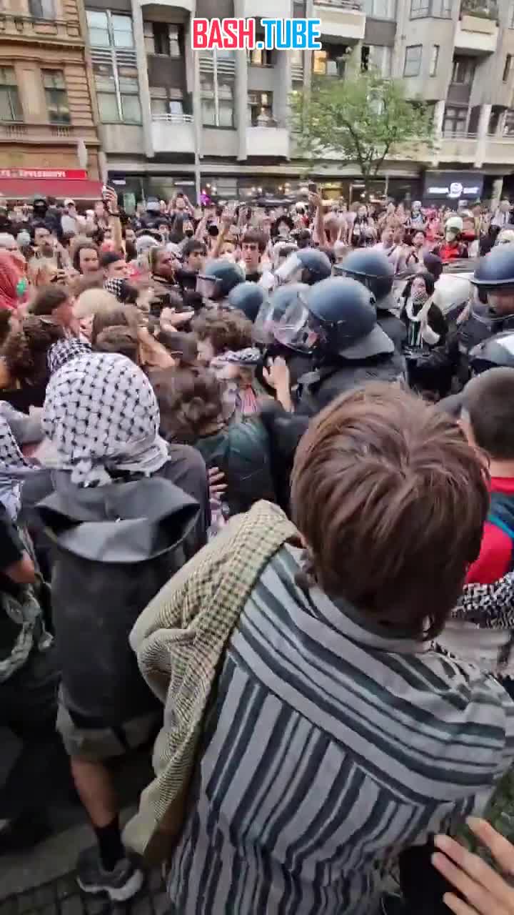  На видео разгон женщин полицией Берлина на очередной демонстрации в поддержку сектора Газа