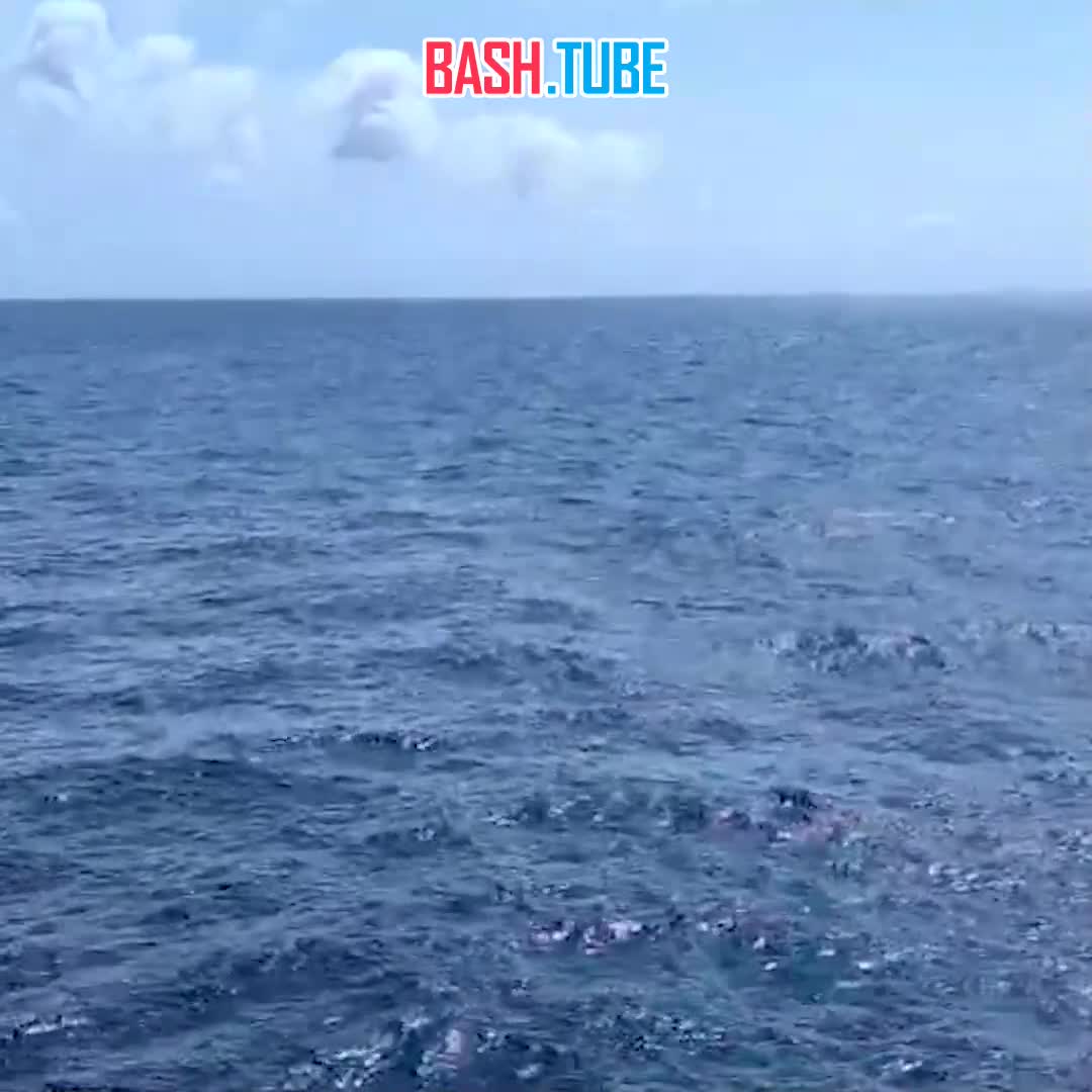  Пропавшей на сутки на Сахалине дайвершей оказалась замдиректора департамента Минфина РФ Елена Дорофеева