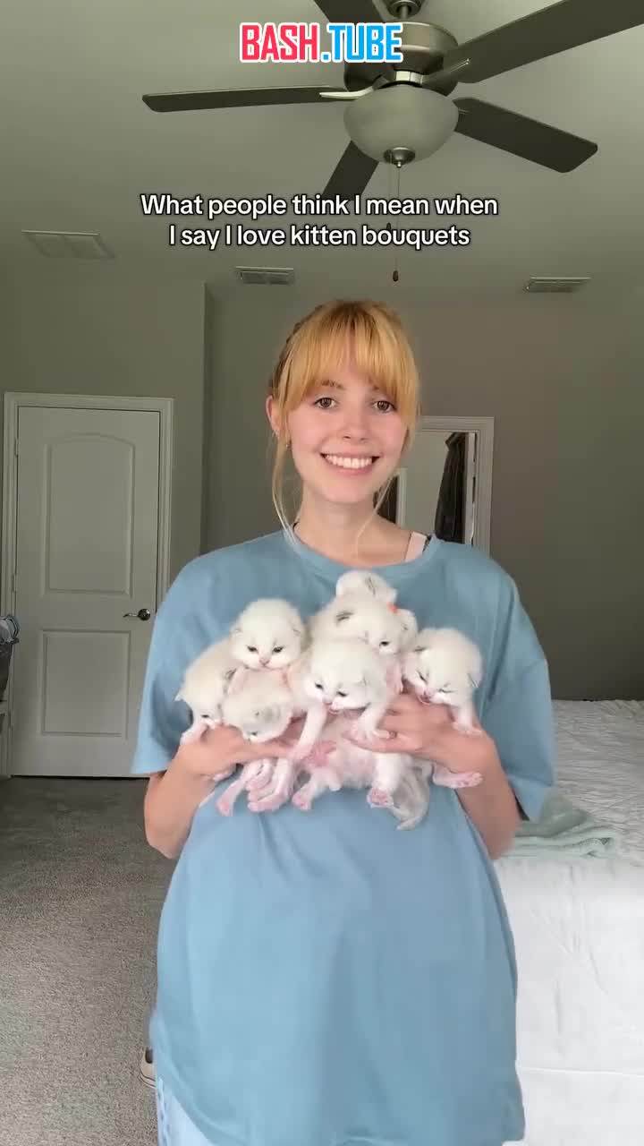  Букеты из... котят хайпят в сети - флористы отмечают, что такой точно растопит сердце любой девушки