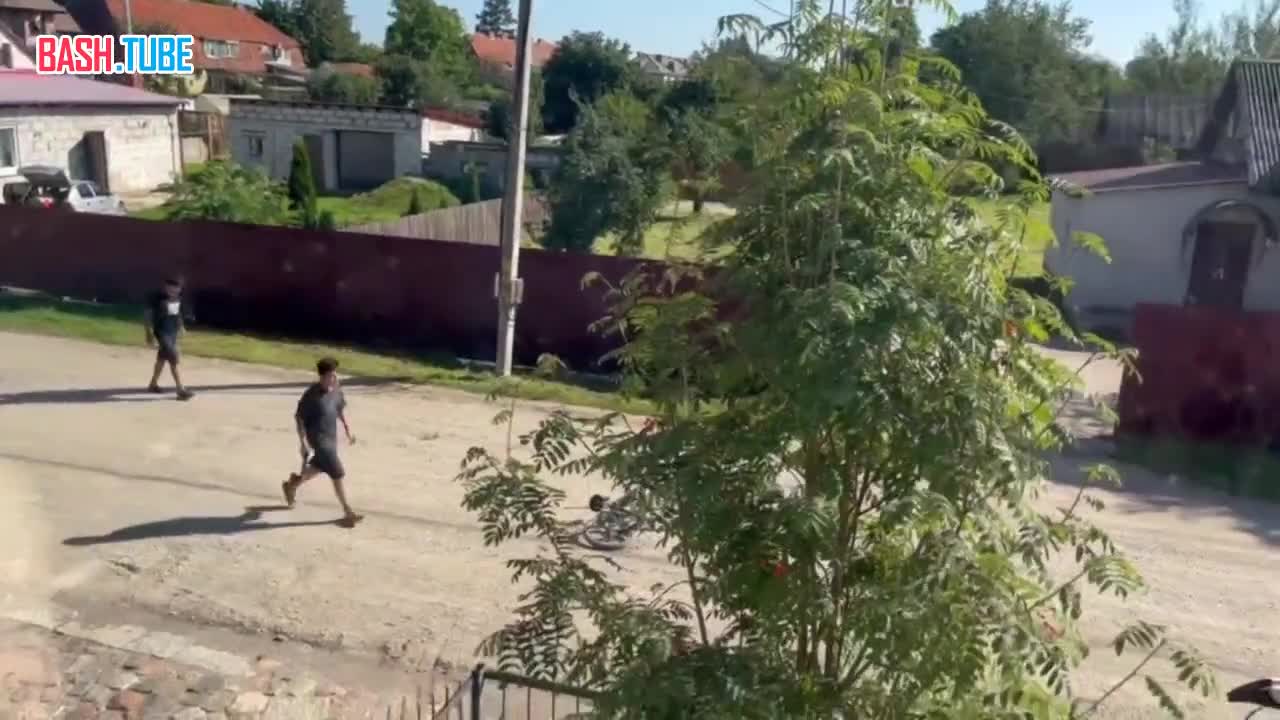  Подростки пытались забить аиста топором и косой в Калининградской области