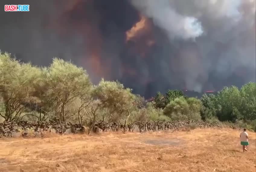  Августовские природные пожары в Испании выжгли более 115 тыс га земли, - Europa Press