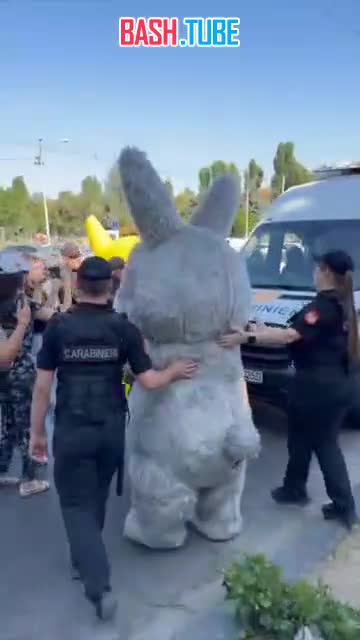  Полиция задержала людей в костюмах Пикачу, Лабубу и Белого Медведя на протестной акции в Кишиневе