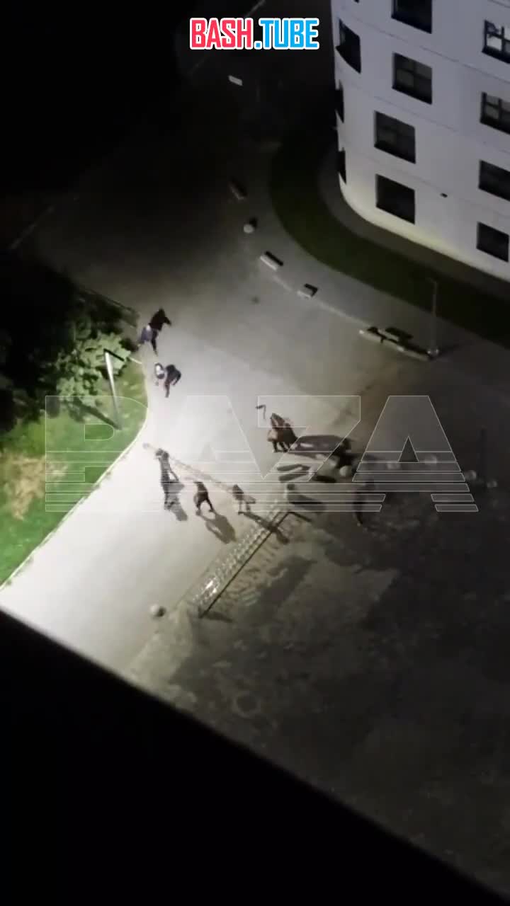  В Москве полиция и Росгвардия остановили массовую драку и перестрелку мигрантов у школы