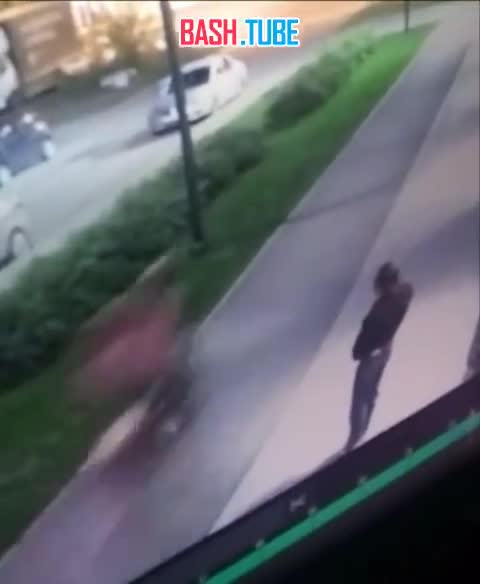  Драматические кадры из Екатеринбурга: курьер на электровелосипеде насмерть переехал маленького йорка на глазах у хозяйки