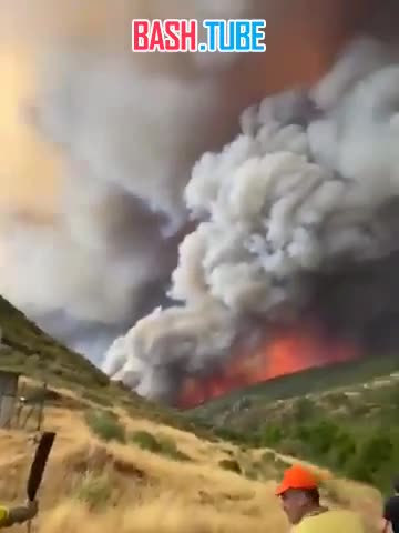  С 1 июня в Испании задержали почти 30 человек по подозрению в разжигании лесных пожаров, распространившихся по стране