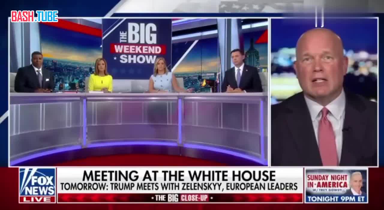  США ожидают встречных предложений от Зеленского на инициативы России на саммите в Анкоридже, - постпред США при НАТО Уитакер