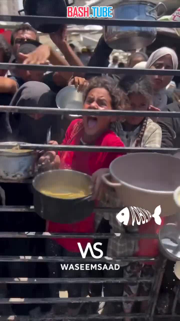  Кадры из Сектора Газа: жители находятся на грани выживания