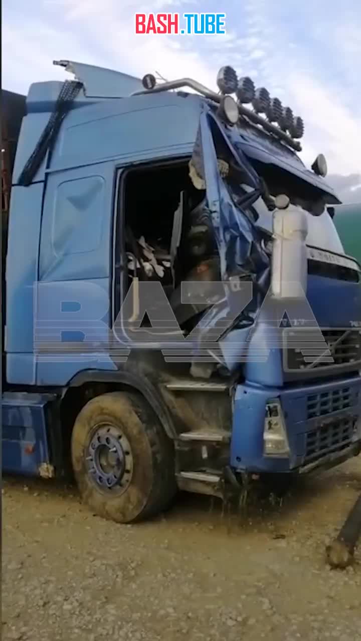  Перевозившая более десятка лошадей фура перевернулась в Челябинской области