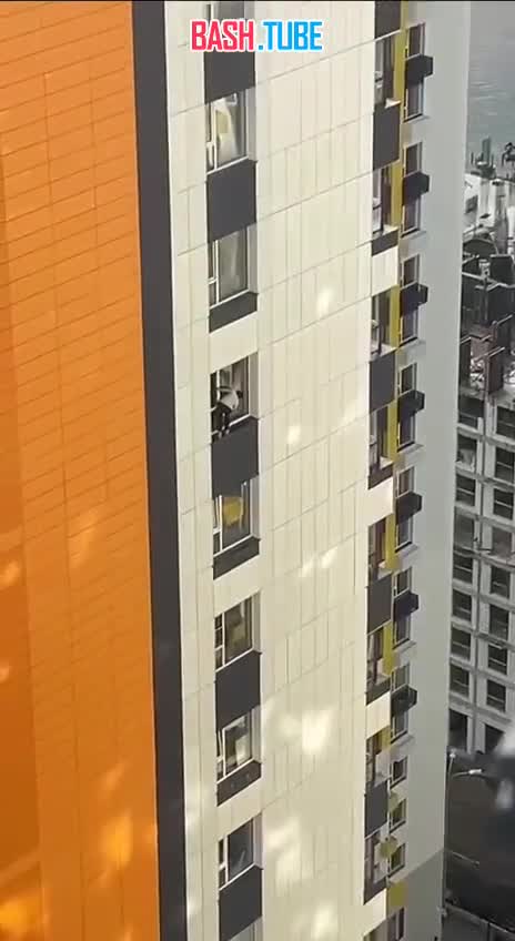  На это даже смотреть страшно! В Москве отчаянная домохозяйка решила помыть окна на 27 этаже