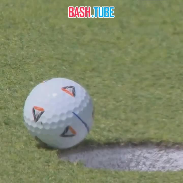  Муха помогла забить мяч в лунку на турнире по гольфу в США