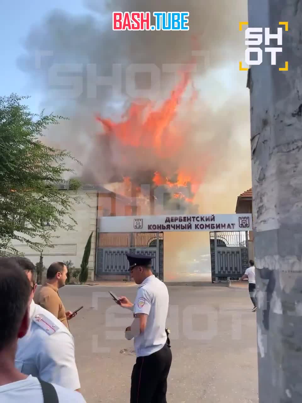  Пламя перекинулось с дагестанского коньячного комбината на деревья под крики шокированных местных