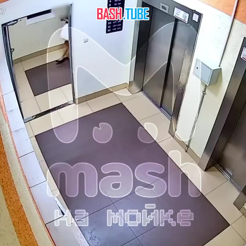  На жительниц Мурино открыл охоту безудержный домогатор - он вылавливает соседок у лифтов и распускает руки