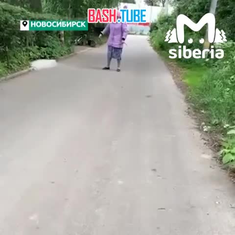  Неадекватная соседка не дала девушке с собакой пройти по дороге в Новосибирске