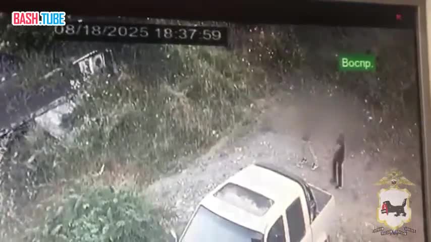  В Иркутской области выстрелили из пневмата в семилетнего мальчика