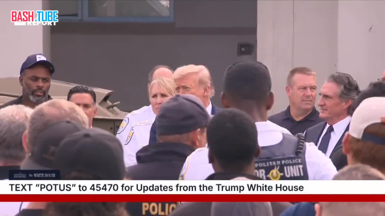  «Я знаю о траве больше, чем любой человек в мире...»