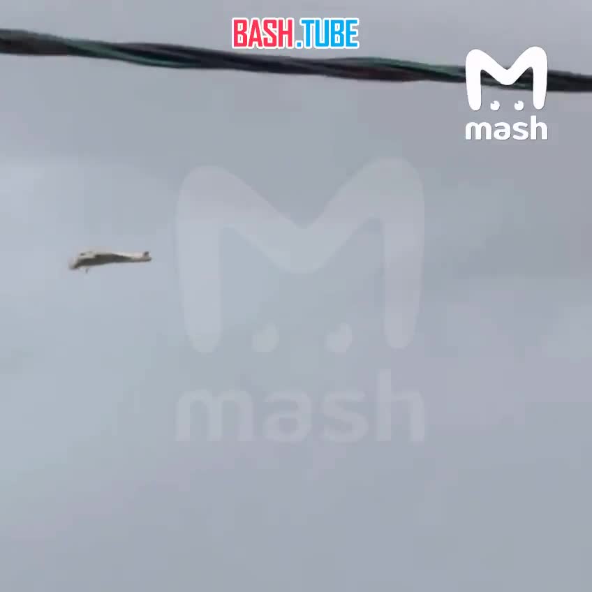  10 беспилотников сбили утром 24 августа над портом Усть-Луга в Ленинградской области