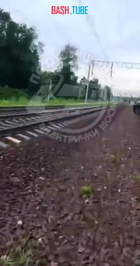  В Москве школьники раскрашивали вагон поезда «Иволга»