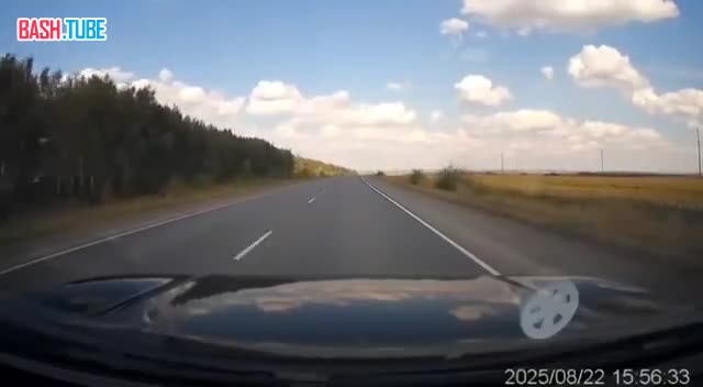  «- Кафешка называется» Три коня «- Три коня? А почему не “Три кота”? Три кота, три кота...»