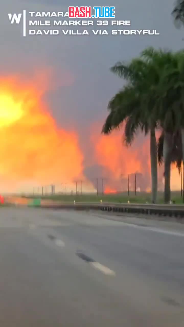  Сильнейший в этом году пожар в американском штате Флорида возник после удара молнии