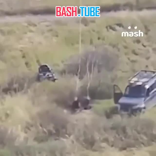  Двое погибли из-за обрыва зиплайна в Самарской области. Люди рухнули с высоты около 30 метров