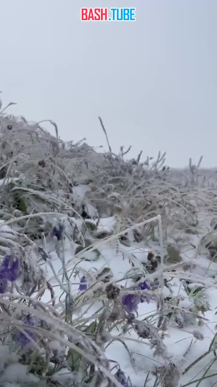  «Глобальное потепление» добралось сегодня и до Польши