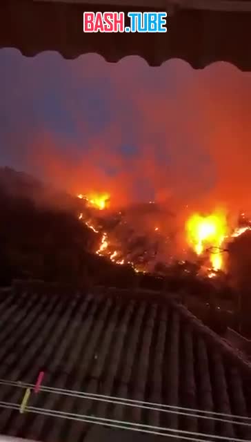  Испанские провинции Леон и Гранада продолжают выгорать в рекордных в современной испанской истории природных пожарах