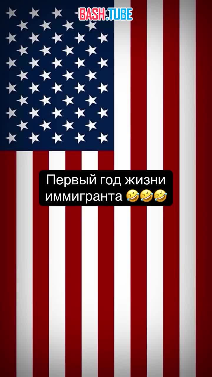  Жизнь иммигрантов в США на примере котиков