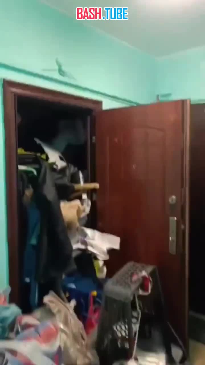  В Москве пожилая мигрантка завалила квартиру мусором до потолка и погубила уличных животных, которые не выжили в этой помойке